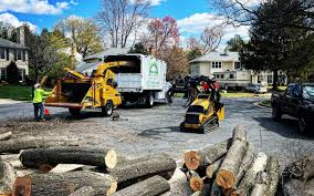 Trusted Lead, SD  Tree Services Experts